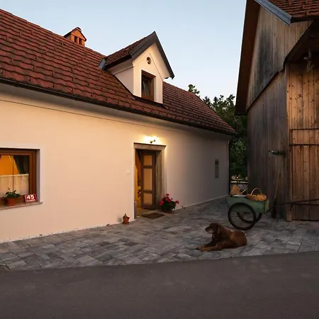 Cherry House - Cosy House - Ideal For Bear Watching, In The Neighborhood Of The Medieval Sneznik Castle Stari Trg pri Lozu Exterior photo
